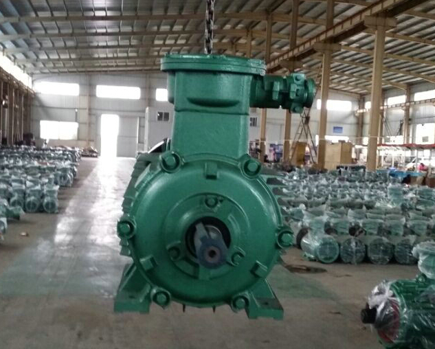 防爆電機(jī)基本防爆型式